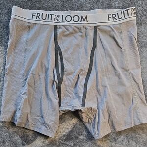 Fruit of the Loom Light Gray Boxer Briefs with Elastic Waistband